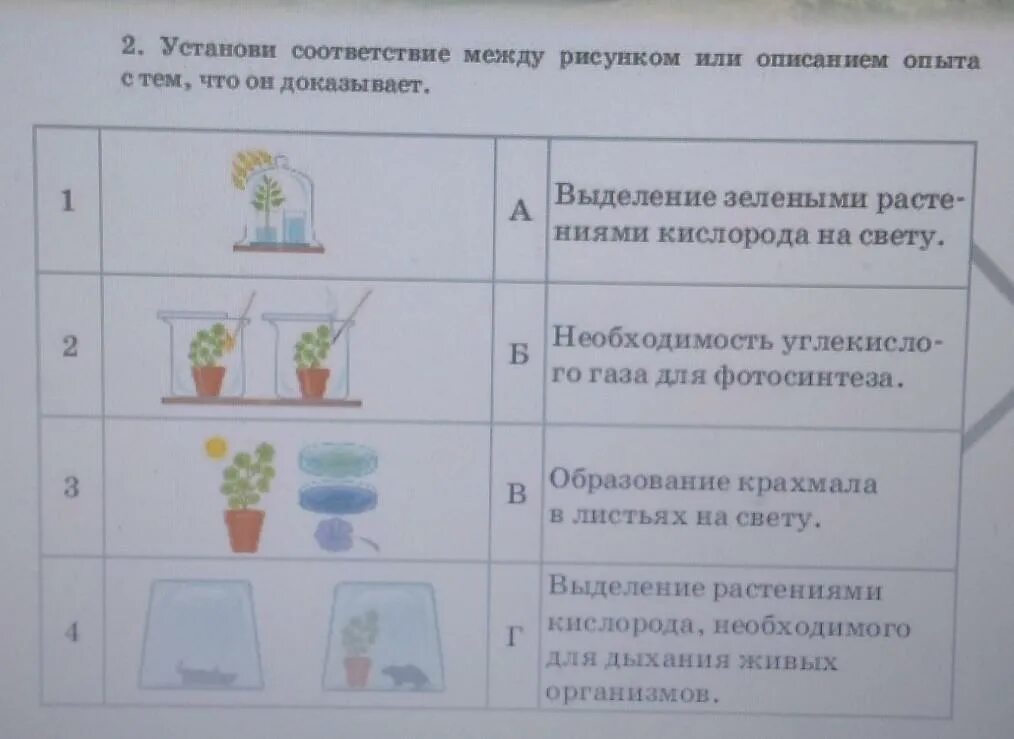 Установите соответствие между рисунками и описанием