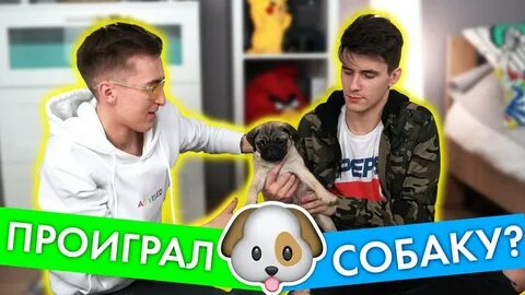 Пес сережа