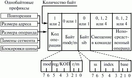 Количество полей команд