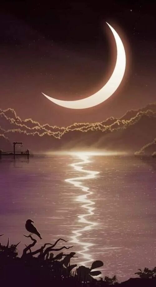 Дерево под луной. Зажги месяц. Сказка о царе салтане месяц под косой блестит. Осенняя ночь. Ночью землю освещает месяц под косой блестит.