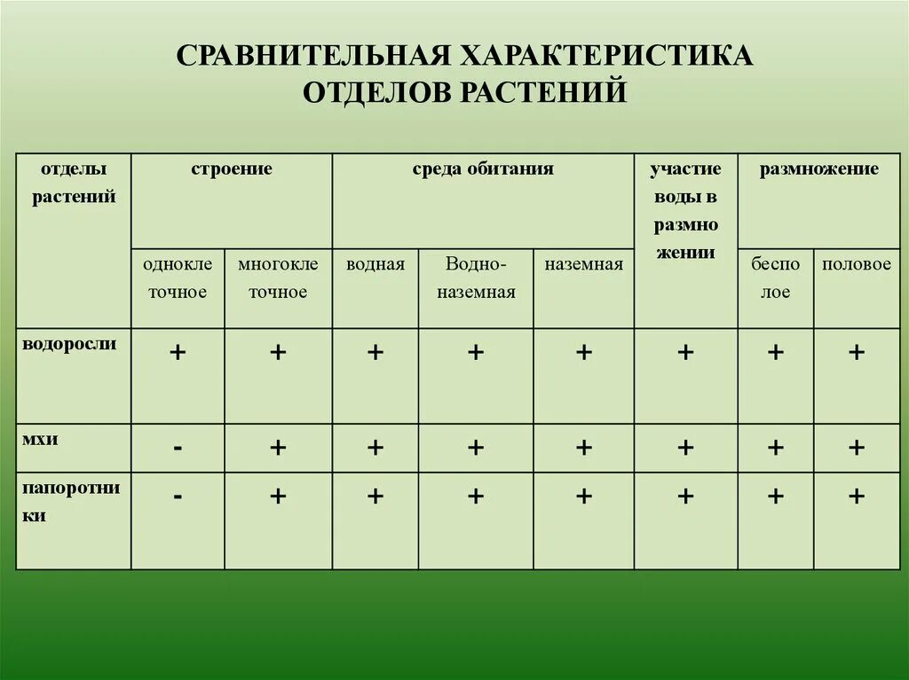 Сравнение отделов растений таблица. Таблица по биологии 6 класс отделы растений. Сравнительная характеристика отделов царства растений таблица. Сравнительная характеристика отделов высших растений таблица.