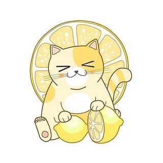 Коте лимон