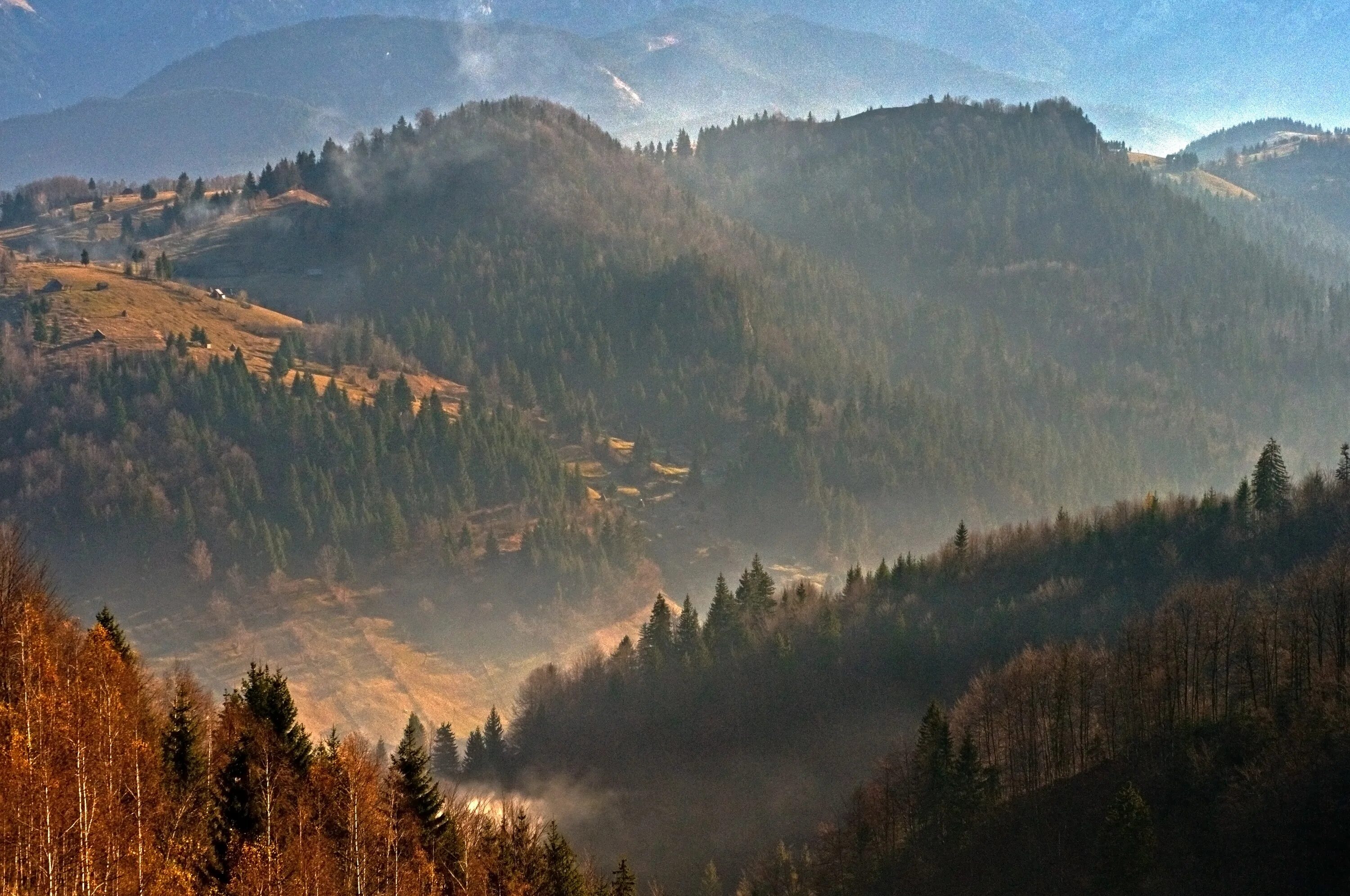 Румыния Карпаты Трансильвания. Карпатские горы Румыния. Гора Златибор Карпаты. Южные Карпаты [трансильванские Альпы]. Т в лесах и на горах
