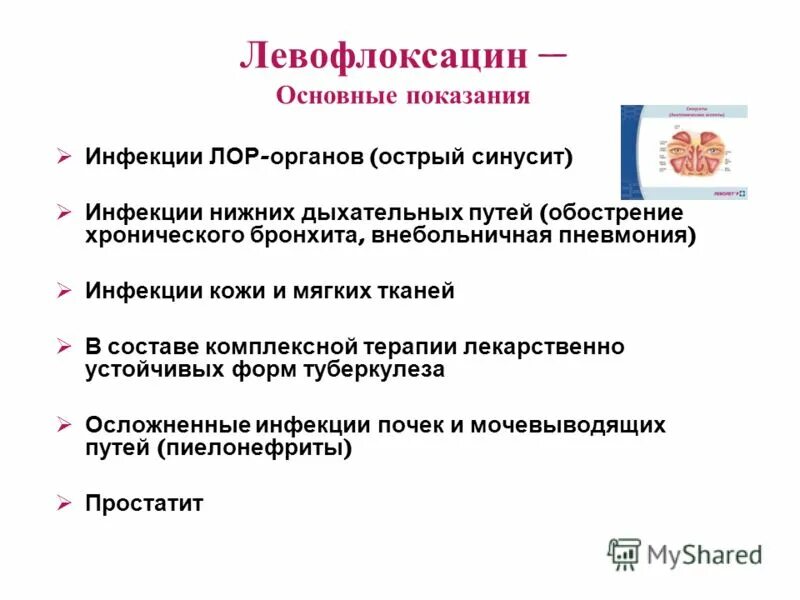 Инфекции лор органов