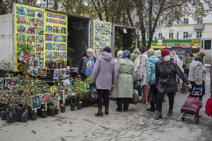 Осенние ярмарки в 2025г. Осенние ярмарки в 2025г