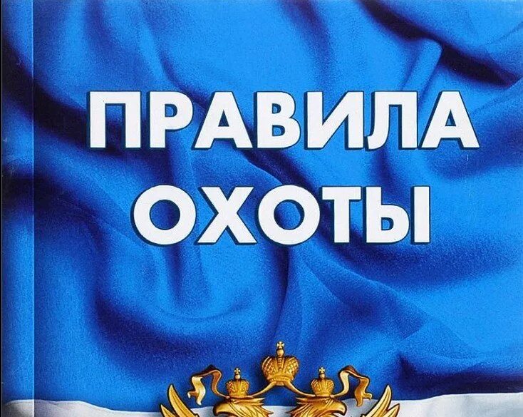 правила охоты 2024. общество охотников кулики. правила охоты 2021 новая редакция. правила охоты 2024. правила охоты калибры.