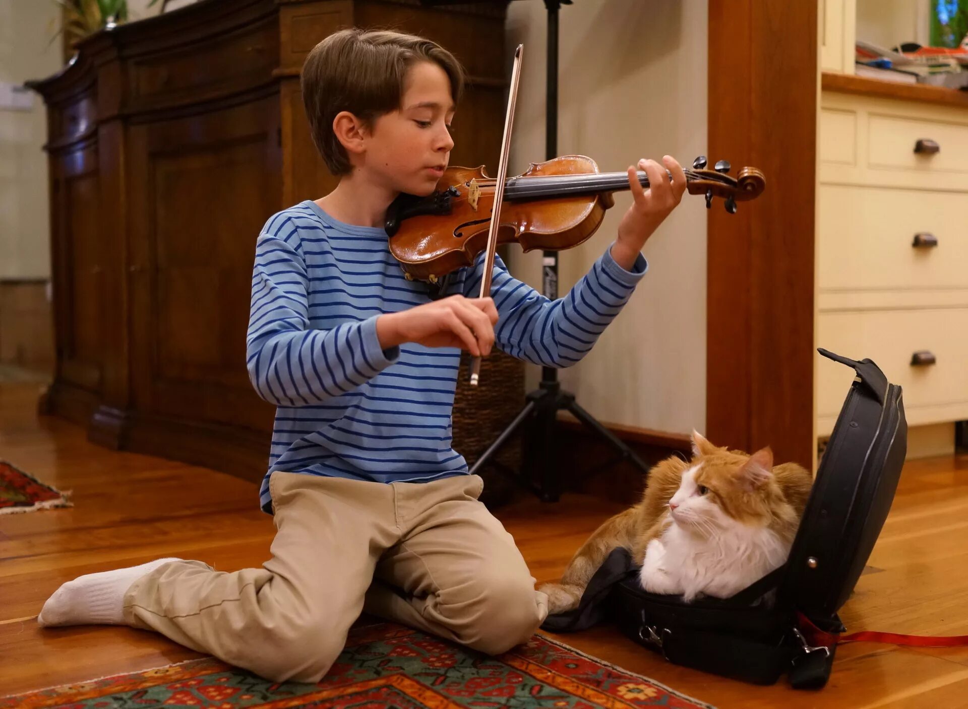 Люди играющие на музыкальных инструментах. Игра на музыкальных инструментах. Музыкальные инструменты для детей. Дети играющие на скрипке. Песня веселая кошка
