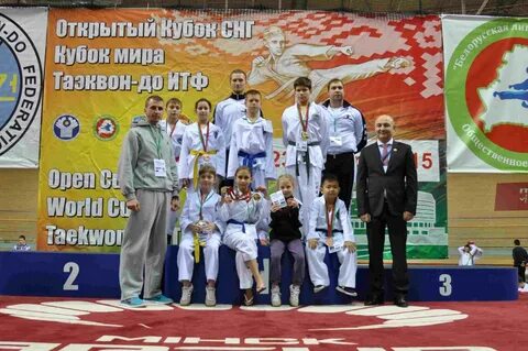 Тхэквондо самара