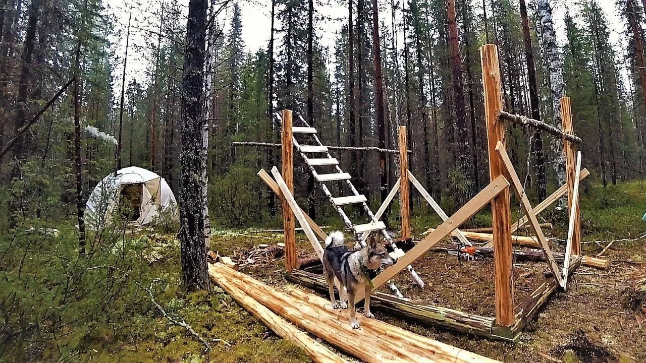Каркасная изба в лесу. Землянка в тайге. Землянка в тайге. Тайга строй. Жизнь в тайге в глухих лесах отшельники.
