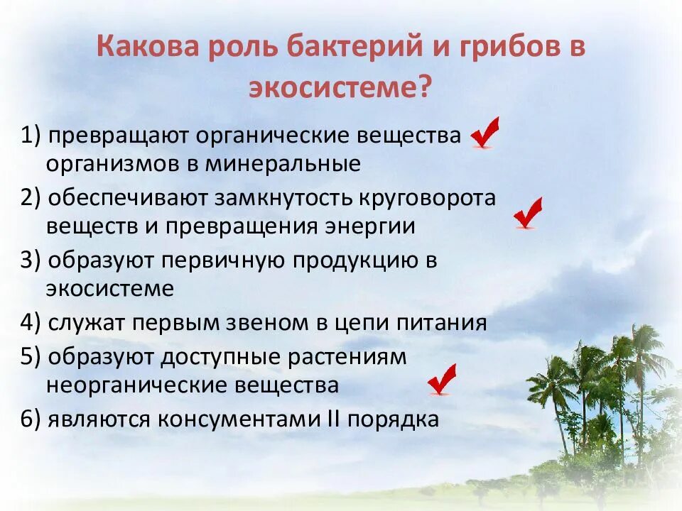 Какова роль источника. Роль бактерий и грибов в экосистеме. Какова роль бактерий и грибов в экосистеме. Роль бактерий в экосистеме. Роль грибов в экосистеме.