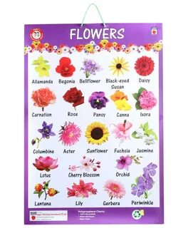 100 Types Of Flowers (with Unique Meanings & Images)