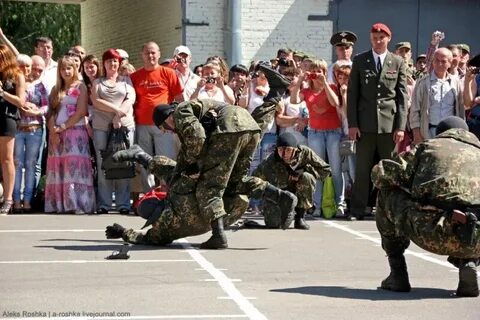 Отряд пересвет