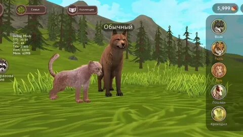 Wildcraft много кристаллов