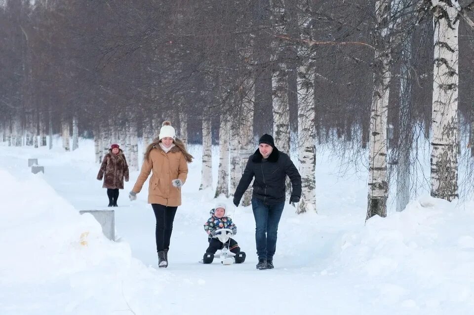 Работает ли зима. Работает ли зима. Работает ли зима. Дворник зимой. Московский зоопарк москва зимой.