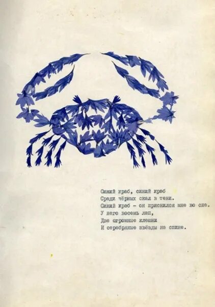 Песни краба на русском. Синий краб Крапивин. Стих синий краб. Синий краб Орленок. Синий краб синий краб среди черных.