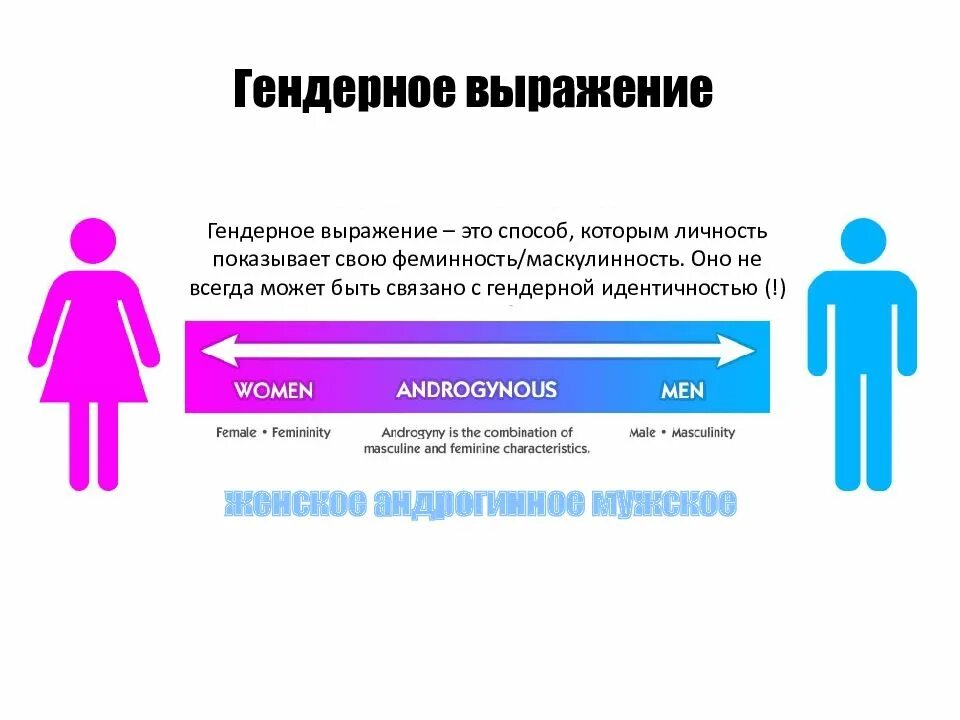 Гендерное выражение. Пол и гендер. Гендерные фразы. Гендер картинки для презентации.