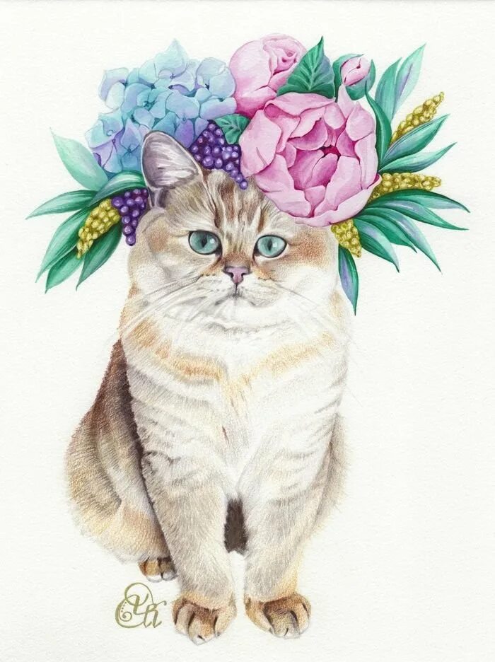 Акварельные кошечки с цветами. Кот с цветами. Кошка с цветами акварель. Кот с цветами открытка. Рисунок кота с цветами