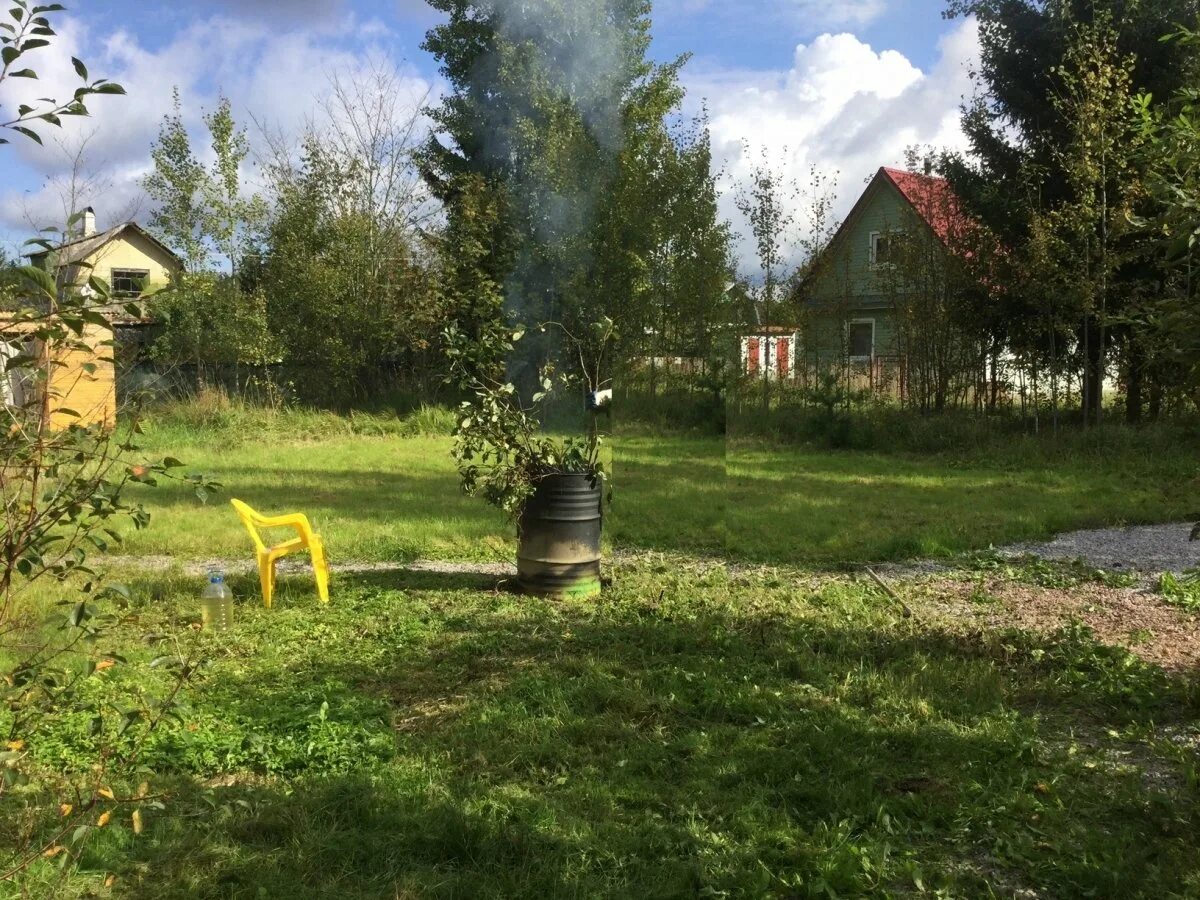 Деревня чаща Гатчинский район. Станция чаща Гатчинский район. Чаща посёлок Ленинградская. Посёлок чаща Гатчинский район колодцы. Чаща ло