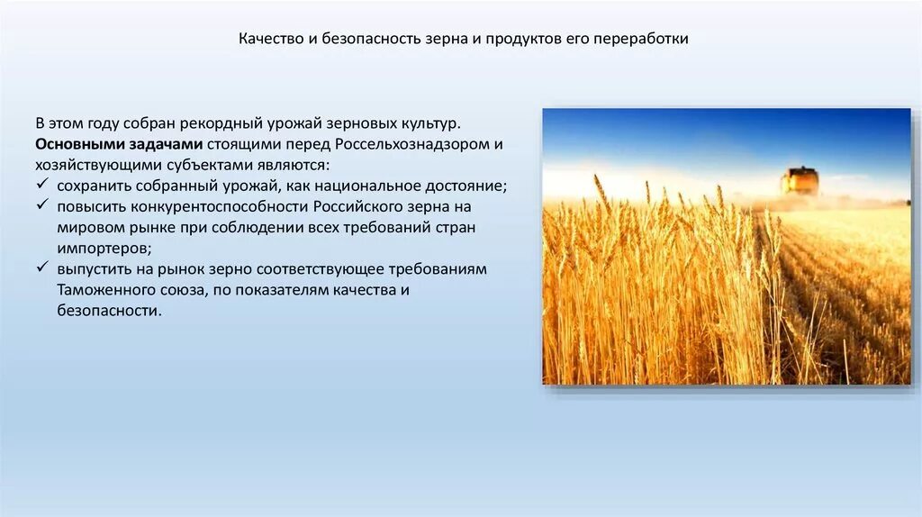 Качество и безопасность зерна. Безопасность зерна и продуктов его переработки. Показатели качества и безопасности зерна. Продукты переработки пшеницы. Злаки и продукты их переработки.