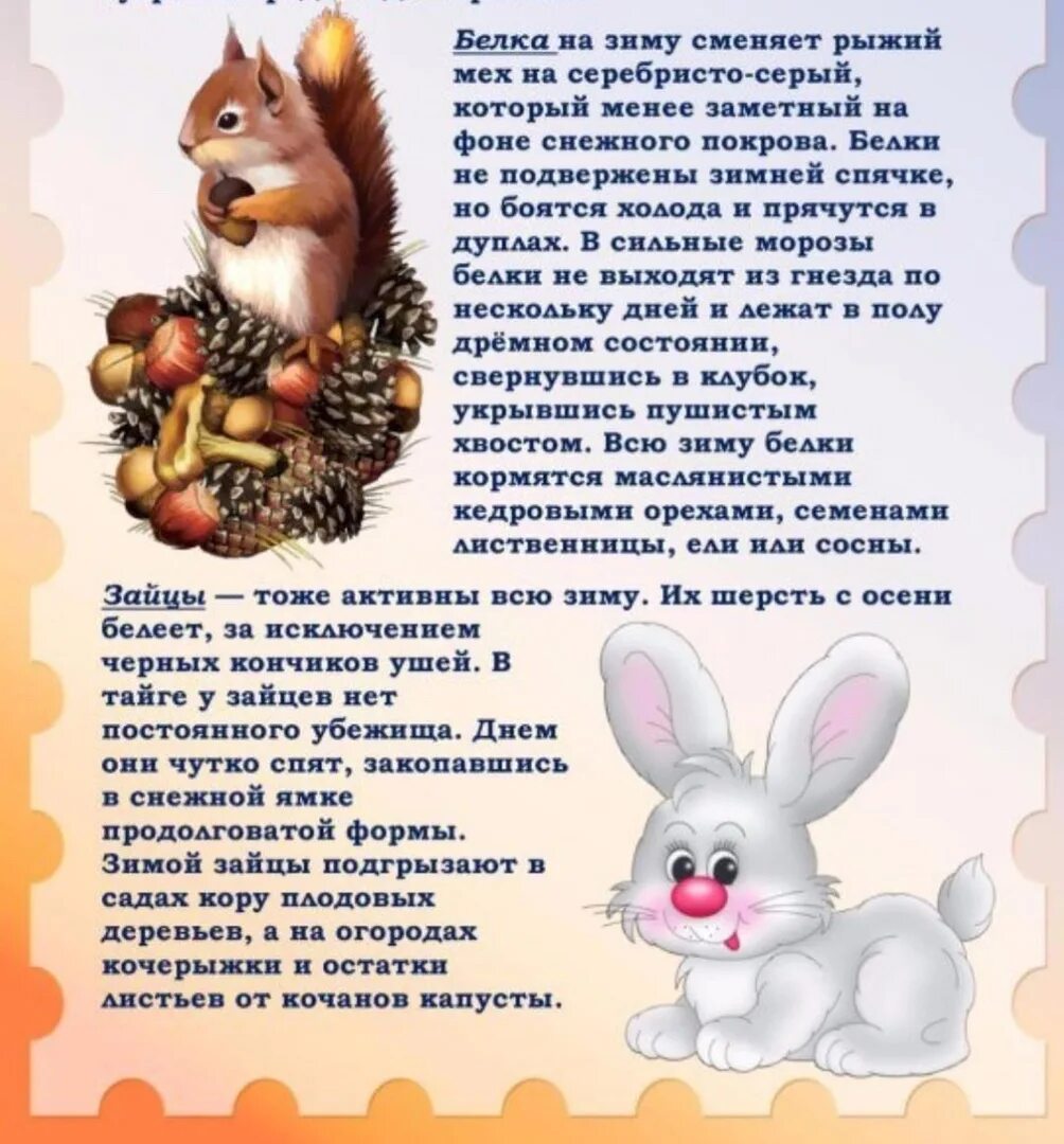 Лексическая тема дикие и домашние животные. Тема недели домашние питомцы 1 младшая группа. Тема недели дикие животные в 1 младшей группе для родителей. Папка передвижка домашние животные. Тема недели животные первая младшая группа.