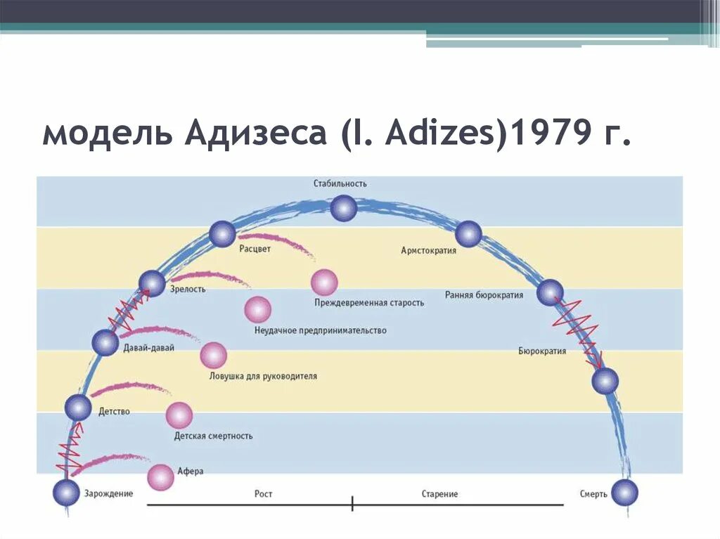 Организация ее жизненный цикл. Адизес этапы жизненного цикла организации. Модель ЖЦО Адизеса. Ицхака Адизеса "жизненный цикл организации". Теория жизненных циклов организации и.Адизеса.