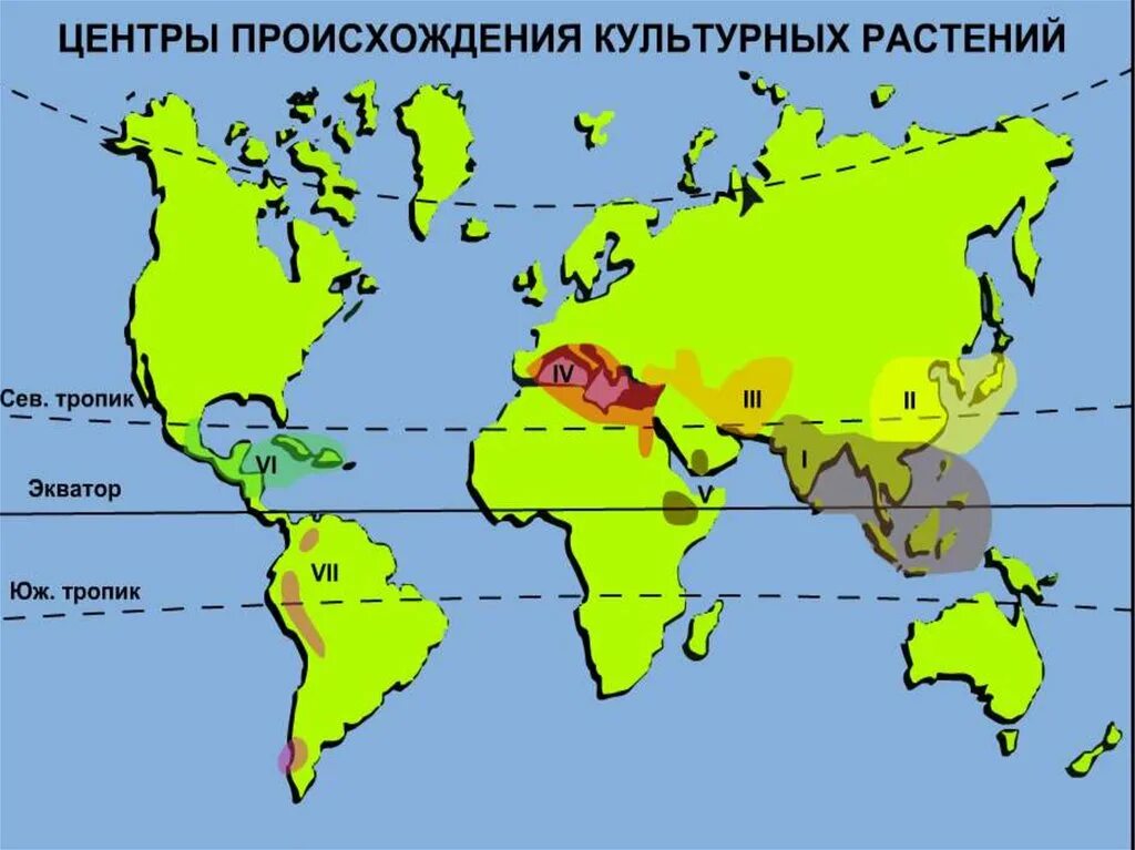 Сколько центров происхождения культурных. Южноазиатский тропический центр происхождения культурных растений. Южноазиатский тропический центр растения по Вавилову. Очаги происхождения культурных растений по Вавилову. Средиземноморский центр происхождения культурных растений растения.