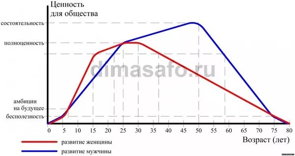 График привлекательности мужчин и женщин. График половой активности. Пик половой активности. График мужчины и женщины.