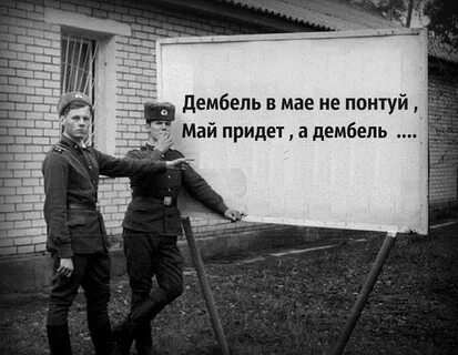 Когда отпустят дембелей