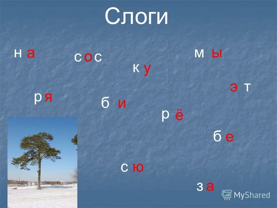 Зимние картинки с разным количеством слогов. Паутина сколько слогов. Аллея из скольки слогов. Охота сколько слогов. Озерах сколько слогов