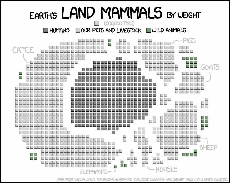 Life on earth david attenborough. Mammals animals. Животные. Слон референс. Слон чертеж.
