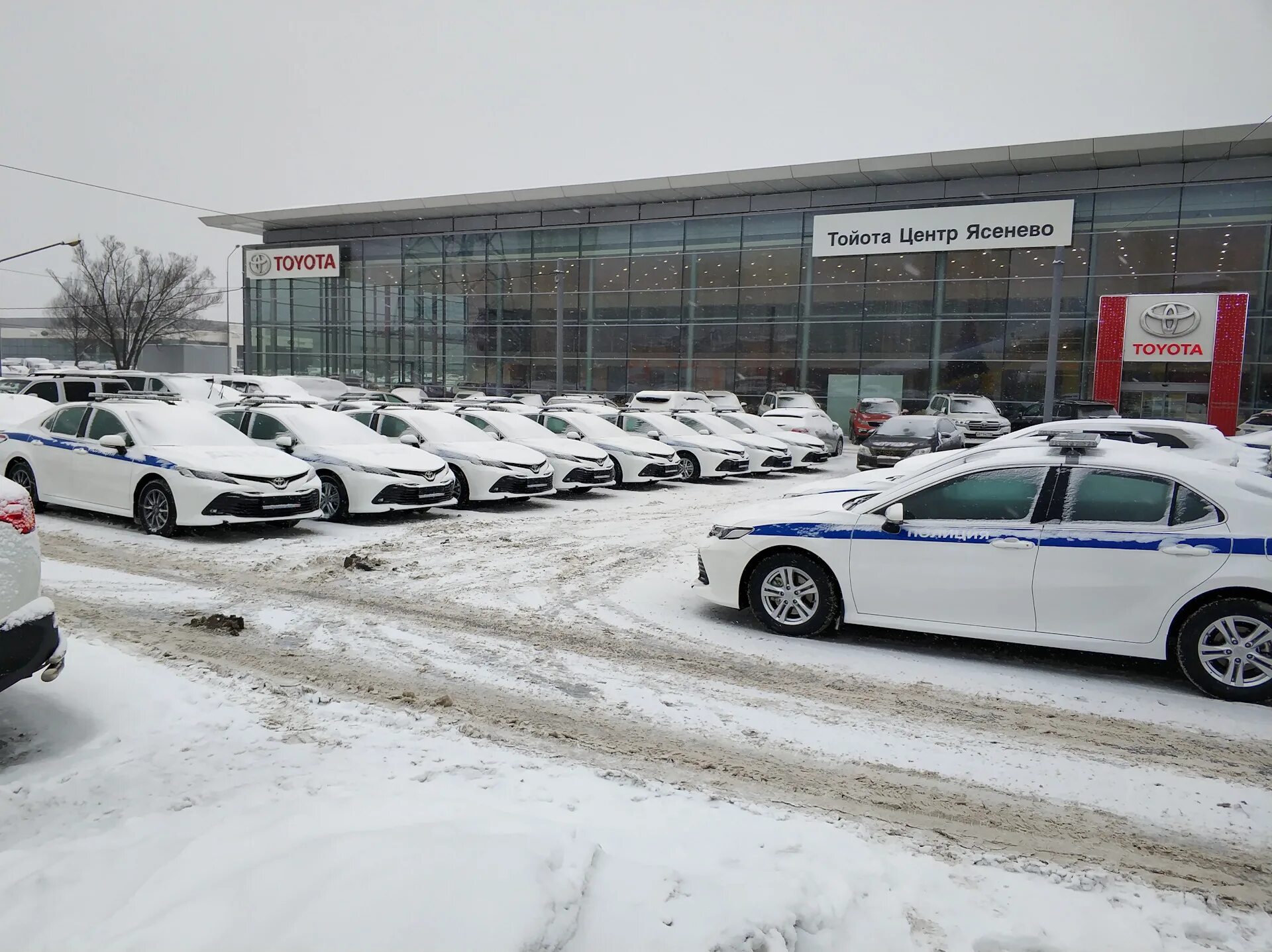 Автомобили ясенево. Toyota РОЛЬФ Ясенево. РОЛЬФ Ясенево Тойота сотрудники. Тойота центр Ясенево. Тойота центр Ясенево сервис.