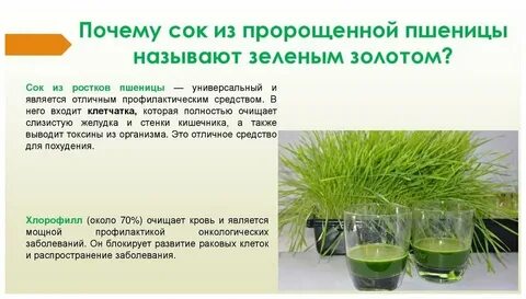Химический состав микрозелени