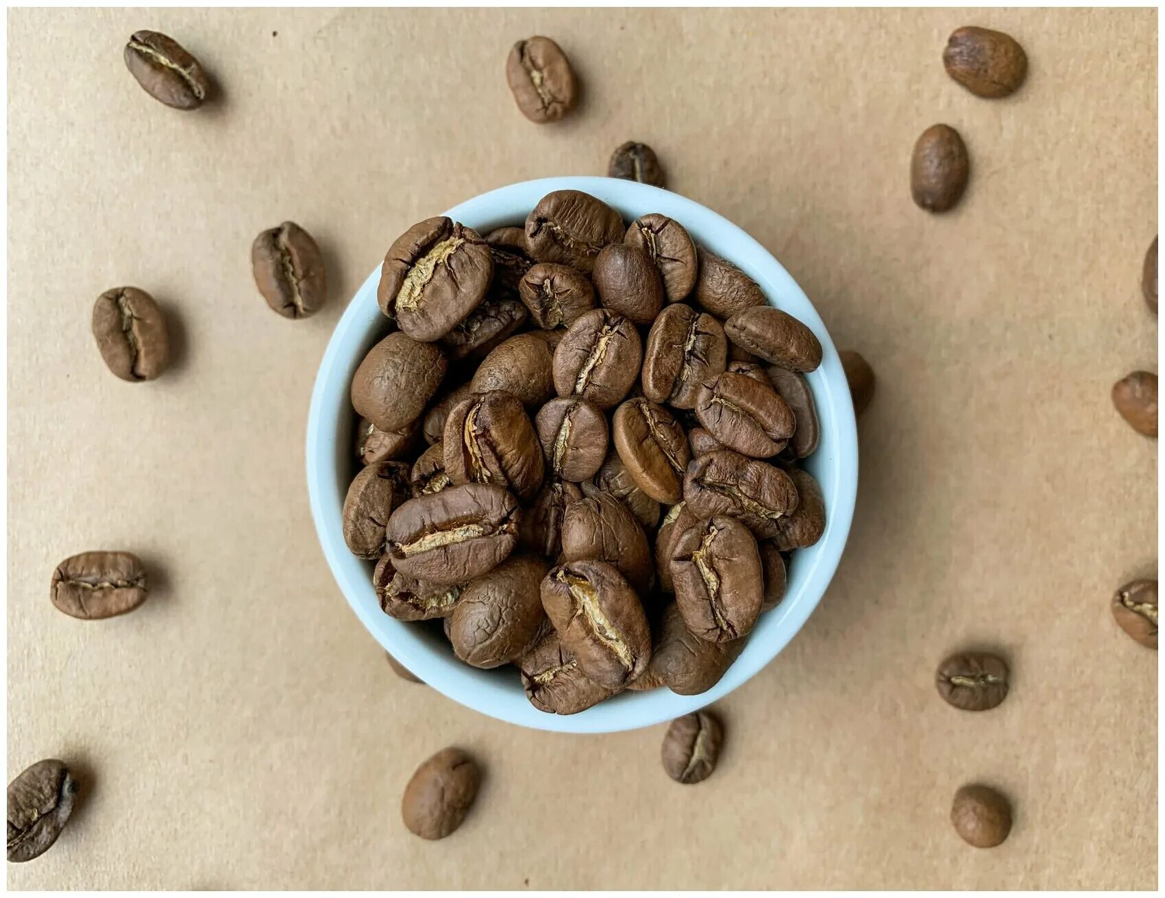 Никарагуа марагоджип кофе чайкоф. Кофе марагоджип никарагуа. Кофе maragogype. Кофе в зернах блюз никарагуа марагоджип. Nicaragua maragogype coffee.