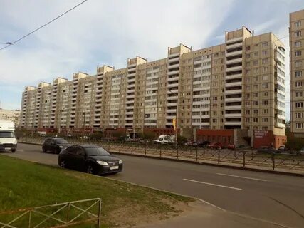 Просвещения 69 фото