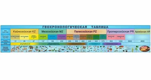 Эры эволюции жизни