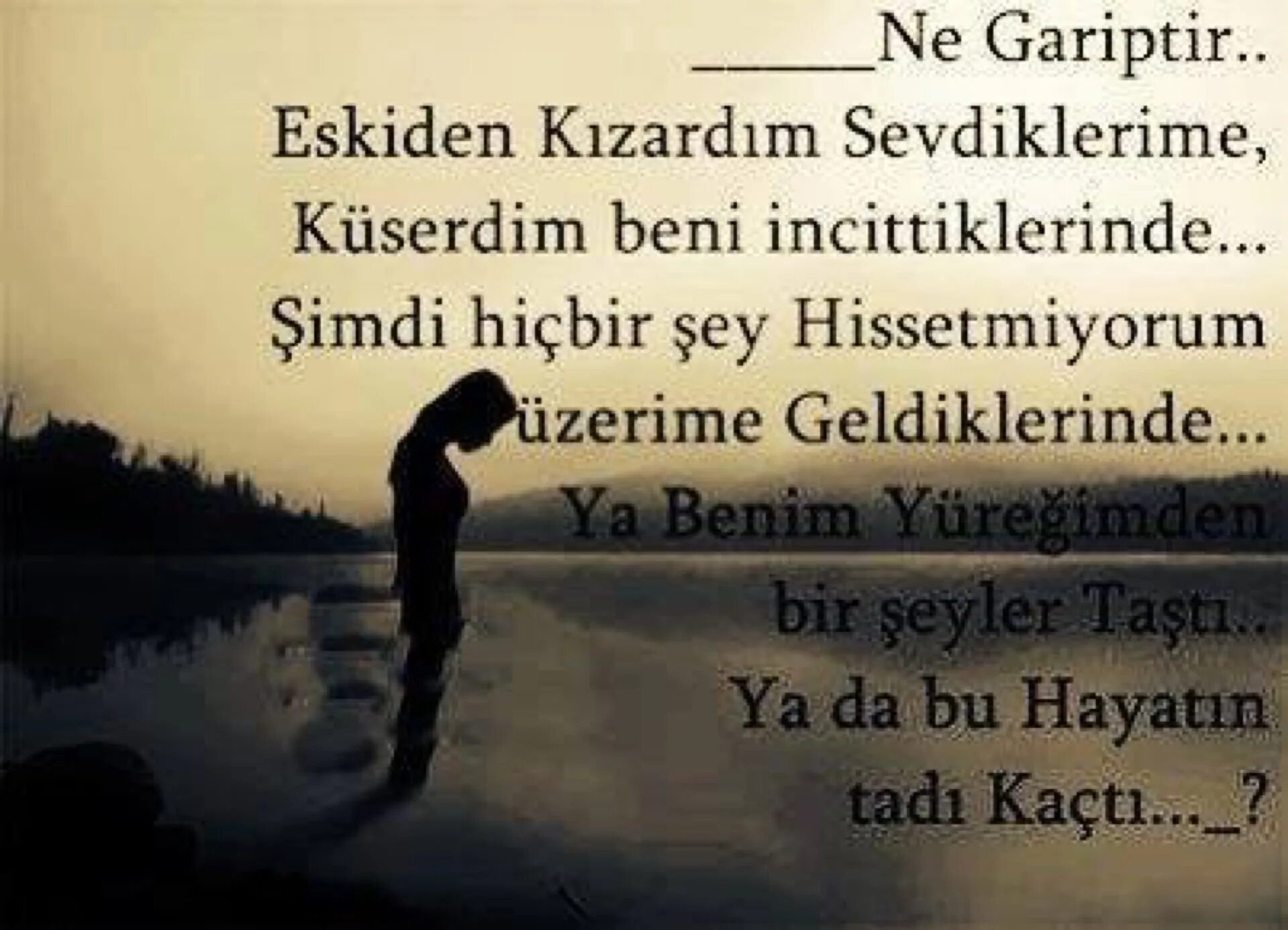 Her bir. севги созлери. Her bir. Anlamli. Sen aşkimizdan.