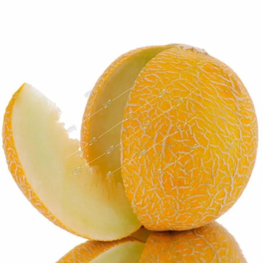 Melon 1