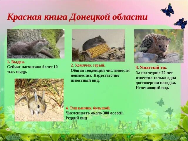 Уроки гражданственности Донбасса. Путешествие по Красной книге Донбасса. Неповто