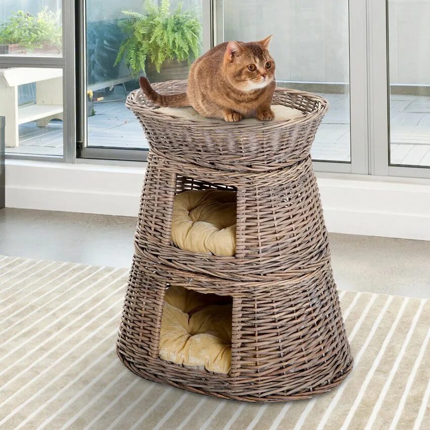 Кот с опахалом. Креативные домики для кошек. Домик для кошек. Cat idea. Полки для кошек на стену.