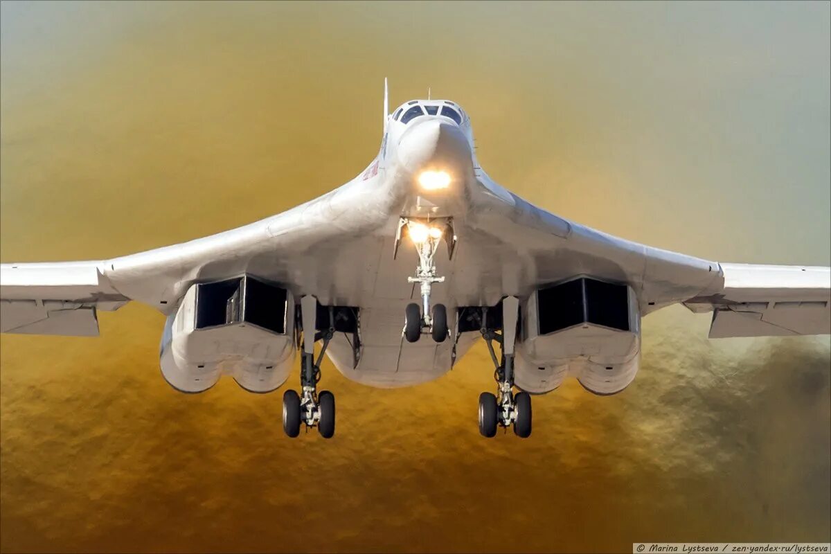 Сколько ту 160. Белый лебедь самолет ту 160. ту-160м.