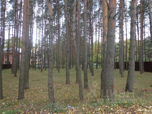 Микрорайон гнездово смоленск. Церковь державной иконы богоматери в гнездово в смоленске. Берег ольшанке в микрорайоне гнездово. Гнёздово смоленск станция. Храм державной иконы божией матери в гнёздово.