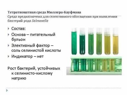 Селективно диагностические среды