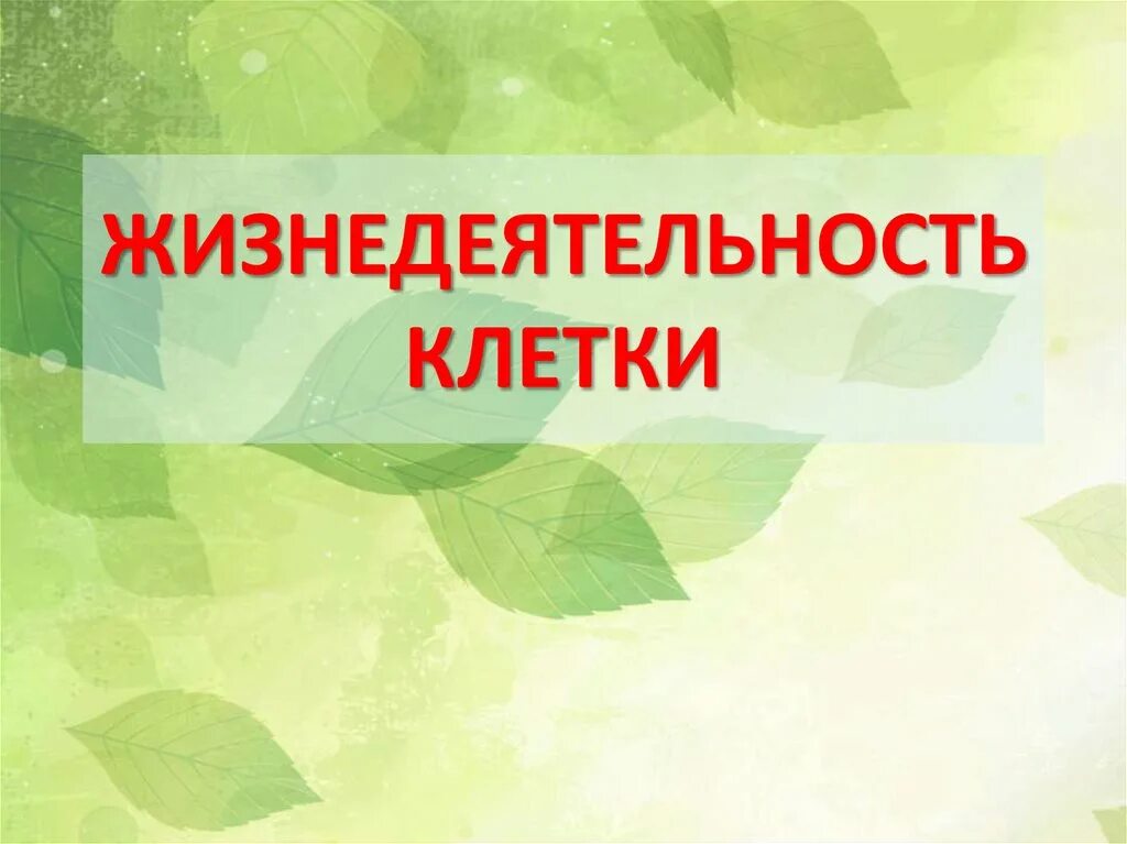 Жизни деятельности клетки. Жизнедеятельность клетки. Процессы жизнедеятельности клетки. Жизнедеятельность клетки презентация. Основные процессы жизнедеятельности клетки.