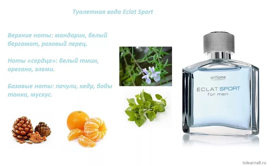 Eclat homme Ноты аромата. Орифлэйм мужские духи Eclat homme Sport. Духи Eclat Sport Oriflame. Эклат Ноты аромата Орифлэйм.