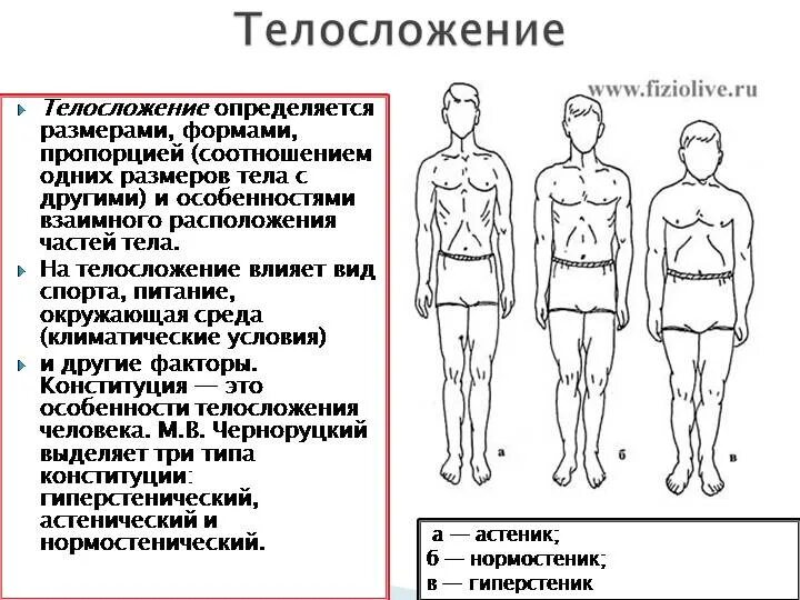 Тип телосложения астенический эктоморф. Типы Конституции тела человека таблица. Конституция человека астеник. Тип Конституции тела астенический. Тотальное тело