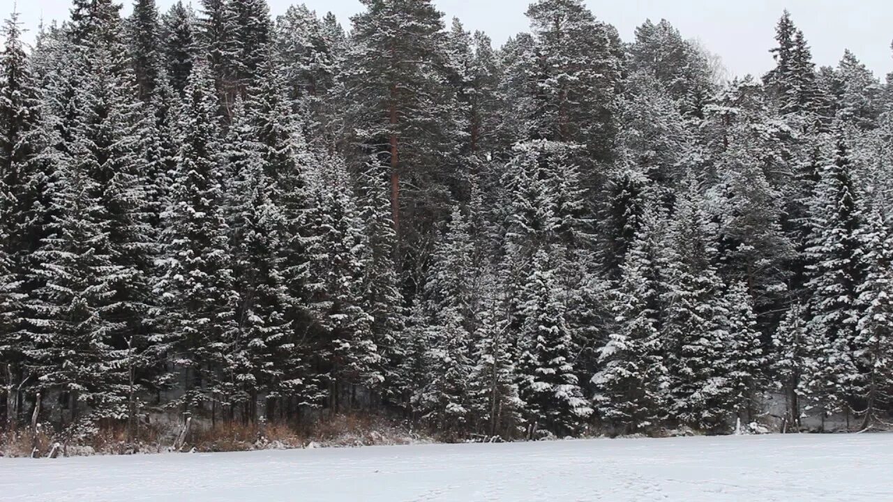 Падает снег на пляж слушать. Саҥа Хаар. Хаар туьэр. Падающий снег mp4. Снег падает на кедры двд 2000.