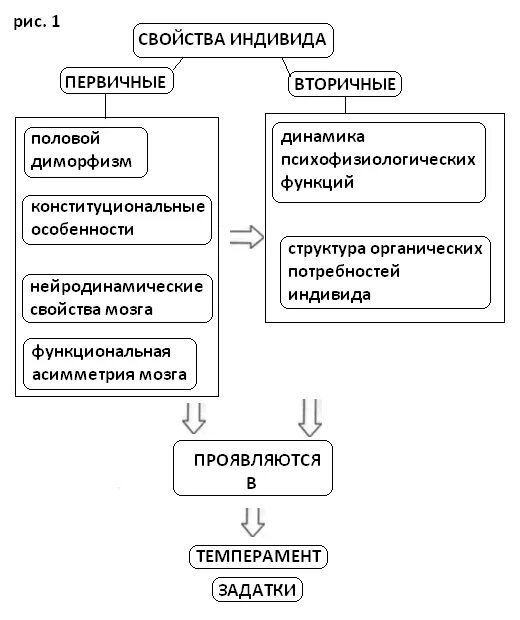 Основные качества индивида. Характеристики индивида. Вторичные характеристики личности-. Характеристика человека как индивида. Первичные и вторичные свойства человека как индивида.