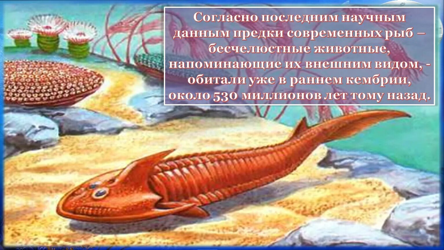 Согласно последних данных предками собак были не