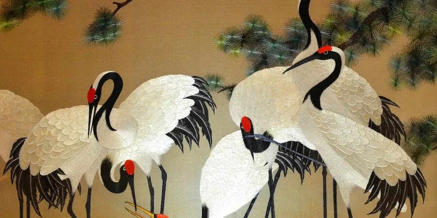 даурский заповедник черный журавль. фотообои журавли. японские журавли. журавли пара картина. журавль и журавлиха.