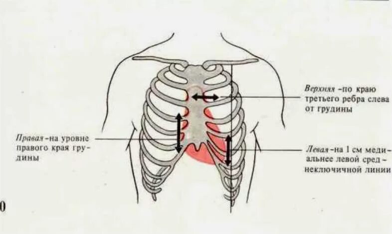 Неприятные ощущения в грудной клетке. Давит между грудями. Болит в груди посередине. Локализация боли при стенокардии напряжения. Боль в грудной клетке.